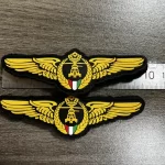 Kuwait Wing Patches