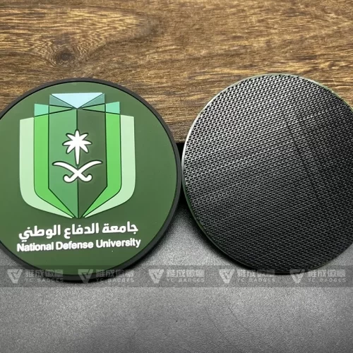 Saudi National Defence University