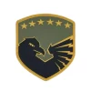 Custom Air Force PVC Patches