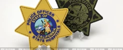 California Police Officer State Hospital Logo Badge