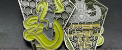 Viper Combat Systems Challenge Coins